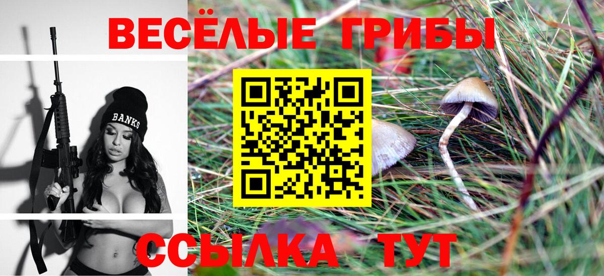 Галлюциногенные грибы GOLDEN TEACHER Коломна
